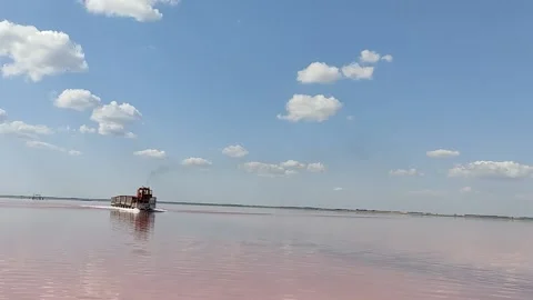 Train transports salt. Train running on pink salt water. Stock Footage 160211458