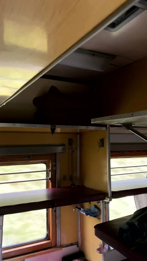 Train travel vibe inside view Stock Footage 220683123
