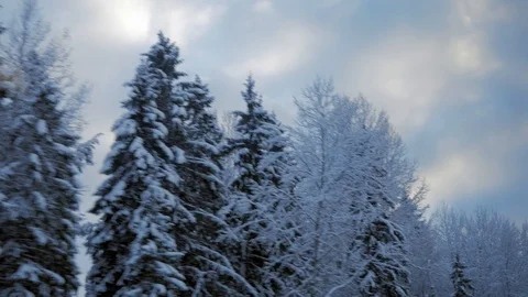 Train travel in winter. view from the window. snow-covered landscapes and forest Видео 100664813