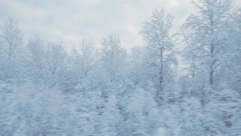 Train travel in winter. view from the window. snow-covered landscapes and forest Stock Footage 100665002