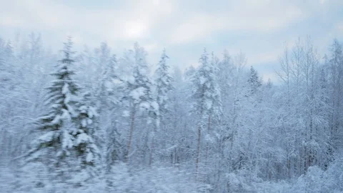 Train travel in winter. view from the window. snow-covered landscapes and forest Видео 100665086