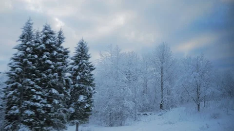 Train travel in winter. view from the window. snow-covered landscapes and forest Stock Footage 100665174