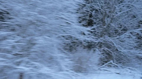 Train travel in winter. view from the window. snow-covered landscapes and forest Stock Footage 100665767