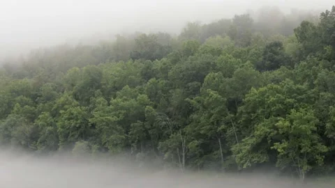 A train traveling down train tracks near a forest Stock Footage 156014819