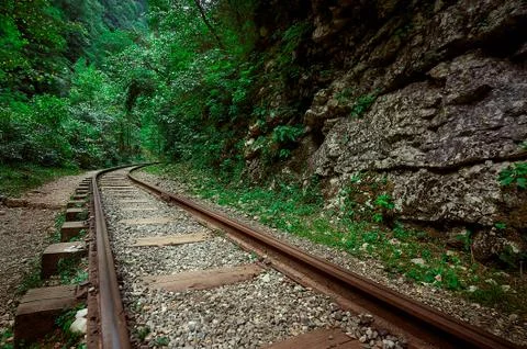 A train traveling down train tracks near a forest Stock Photos