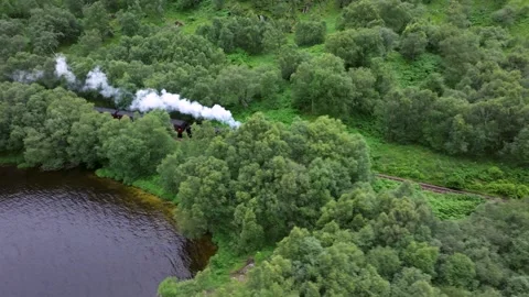 A train is traveling through a forest Stock Footage 306560487