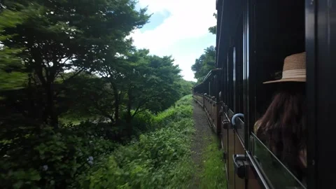 Train Traveling Through Green Forest With Passenger Looking Out Window on Jeju Stock Footage 341180734