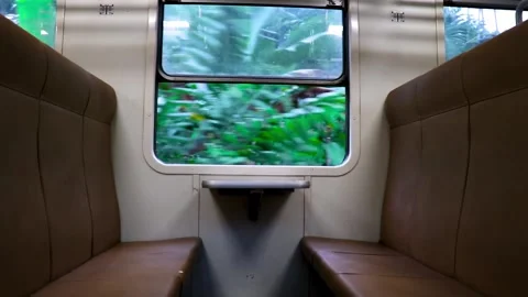 A Train Travelling Through a Dark Dense Forest Area. Video stock 250282722