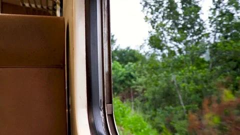 A Train is Travelling Through a Forest Area at a Highland. Video stock 250282560