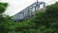 Train Travels Over Railroad Bridge In Green Forest Fussa Tokyo Japan HD HD Footage
