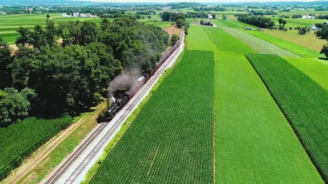 Train Travels Through Fields in Summer During Day With Bright Green Crops Stock Footage 327611042