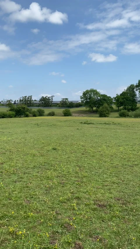 Train traving along countryside Video stock 132288490