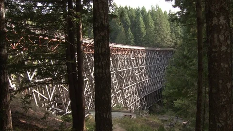 Train trestle wide and medium shots Stock Footage 75245637