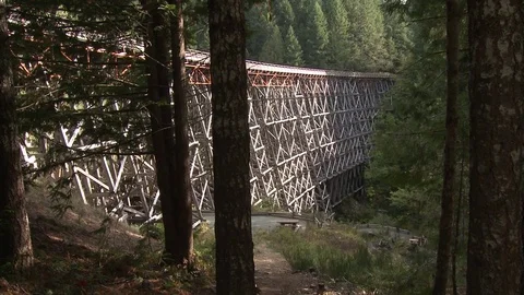 Train trestle wide and medium shots Stock Footage 75248116