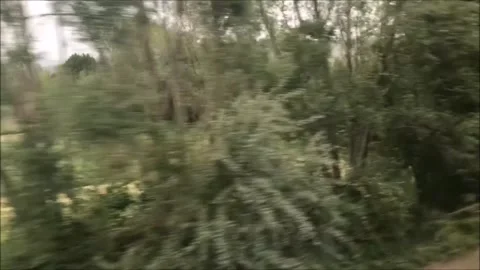 Train trip on railways 動画素材 142330409