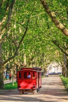 Train in a tunnel of trees Stock Photos