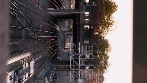 Train under bridge on multi-track road North America. lush greenery, urban Stock Footage 263699563