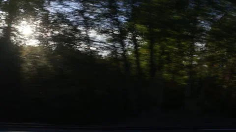 Train View of Flickering Forest Silhouettes Vidéo 42520636