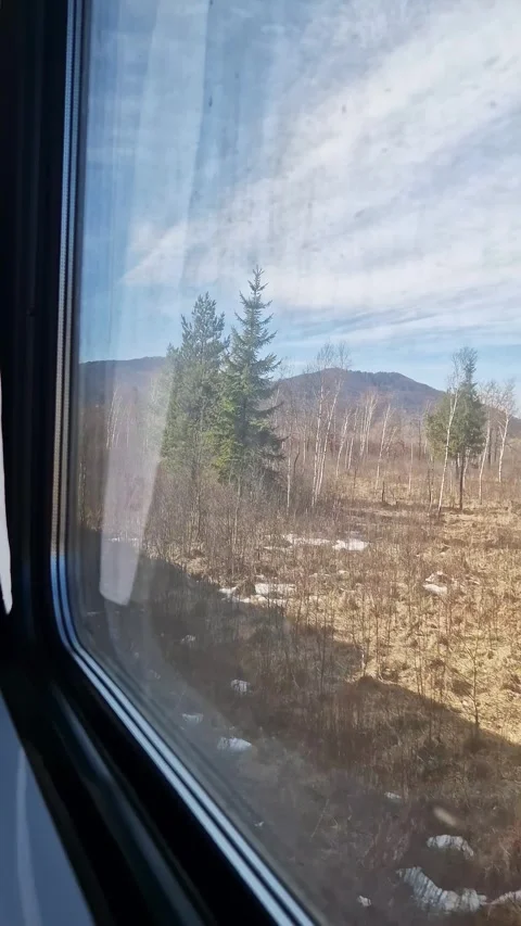 Train View Through Window of Dry Forest and Mountains During Winter Season 库存影片 338995085