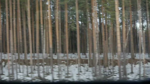 Train view from the window Stock Footage 677648