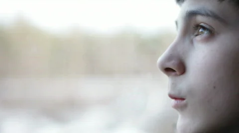 Train view from the window 動画素材 677709