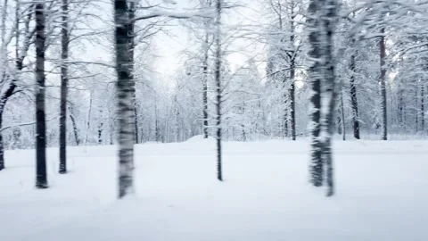 Train View of Winter Wonderland Stock-Footage 264156222