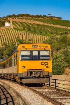 Train in vineyard Stock Photos