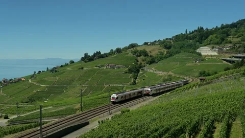 Train in the vineyard. Train Travels Through Lavaux Vineyard Terraces, Stock Footage 201431911