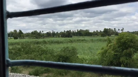 From train window Видео 127646817