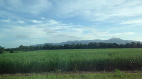 Train window scene of beautiful morning scene on North Queensland in Australia Stock Footage 87939738