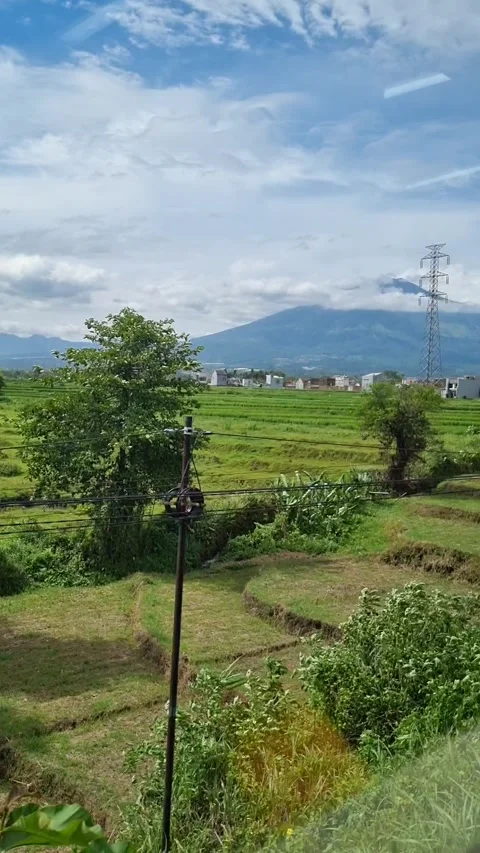 Train window seat view Video stock 337817597