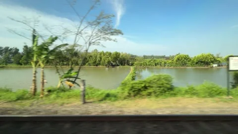 Train Window View Across Beauty Rice Fields and Countryside Stock Footage 341433192