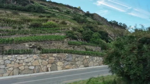 Train Window View of Terraced Vineyards and Rural Road 库存影片 340936462