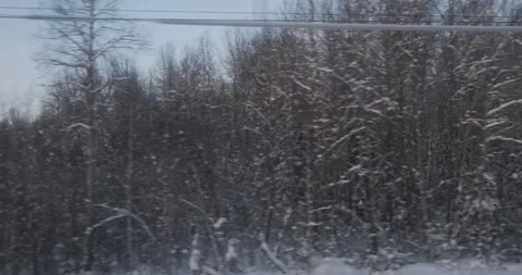 From the train, a winter spectacle unfolds: dense woods, crystallized by frost Vidéo 252943053