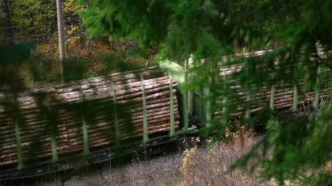 Train with wooden load moving through countryside with beautiful autumn nature Stock Footage 143658570