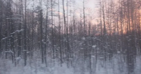 From the train, the woods stand in stark contrast, their snow-covered forms Видео 253286321