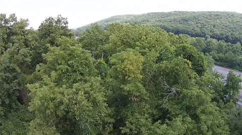 Train Yard Appears Behind Trees Stock Footage 40683900