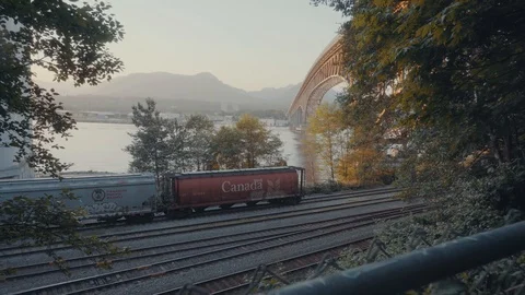 Train Yard 스톡 동영상 91228920