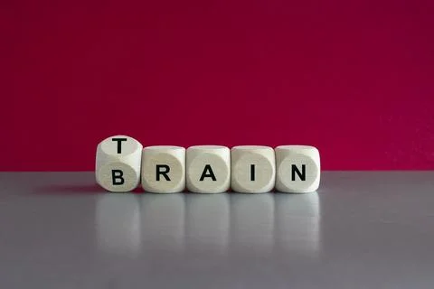 Train your brain. Dice form the words train and brain. 库存照片