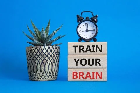 Train Your Brain symbol. Concept words Train Your Brain on wooden blocks. B.. Stock Photos