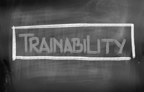 Trainability concept Stock Illustration