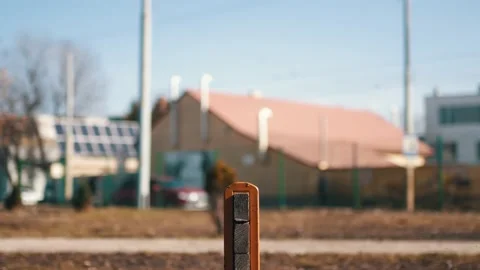 A trained dog jumps over an obstacle. Executes commands. Stock Footage 236659966