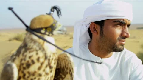 Trained Saker Falcon Balanced Arab Owners Glove Desert Location Stock Footage 21366184