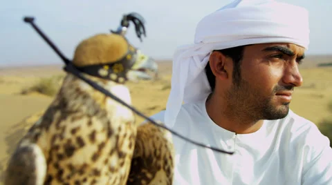 Trained Saker Falcon Balanced Arab Owners Glove Desert Location Stock Footage 39946486