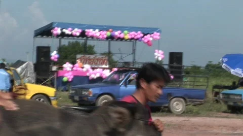 Trainee jocky Stock Footage 488823