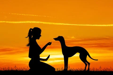 Trainer dog Stock Illustration