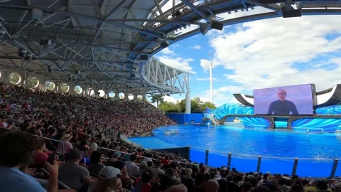 Trainer on jumbo screen Stock Footage 162871479