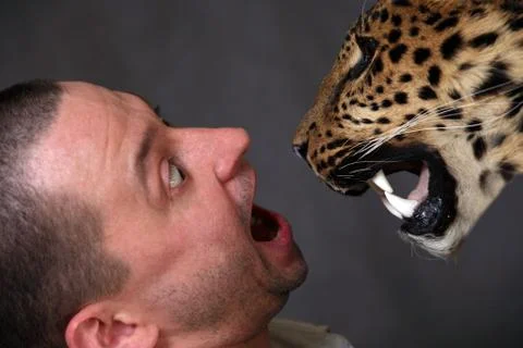 Trainer Stock Photos