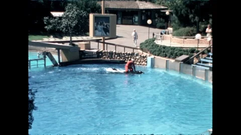 Trainer Riding Orca Stock Footage 276290340