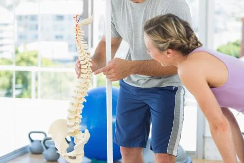 Trainer showing model of spinal cord to woman Stock Photos